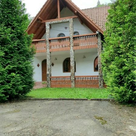 Vila Luca'S Cîrţişoara Exterior foto