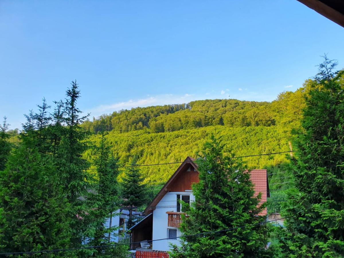 Vila Luca'S Cîrţişoara Exterior foto