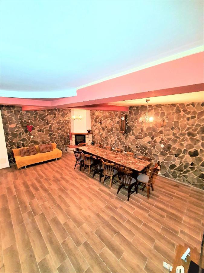 Vila Luca'S Cîrţişoara Exterior foto