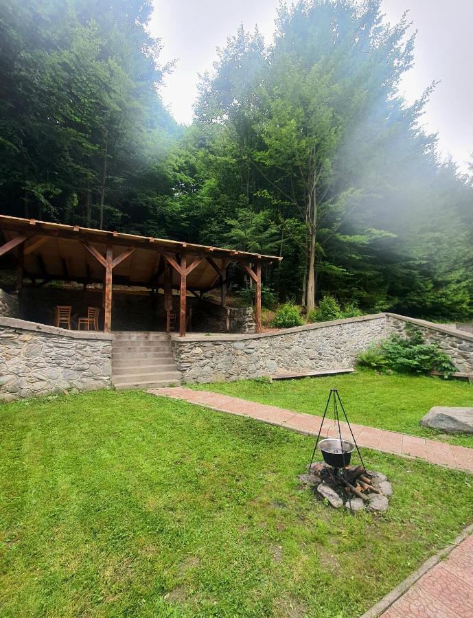 Vila Luca'S Cîrţişoara Exterior foto