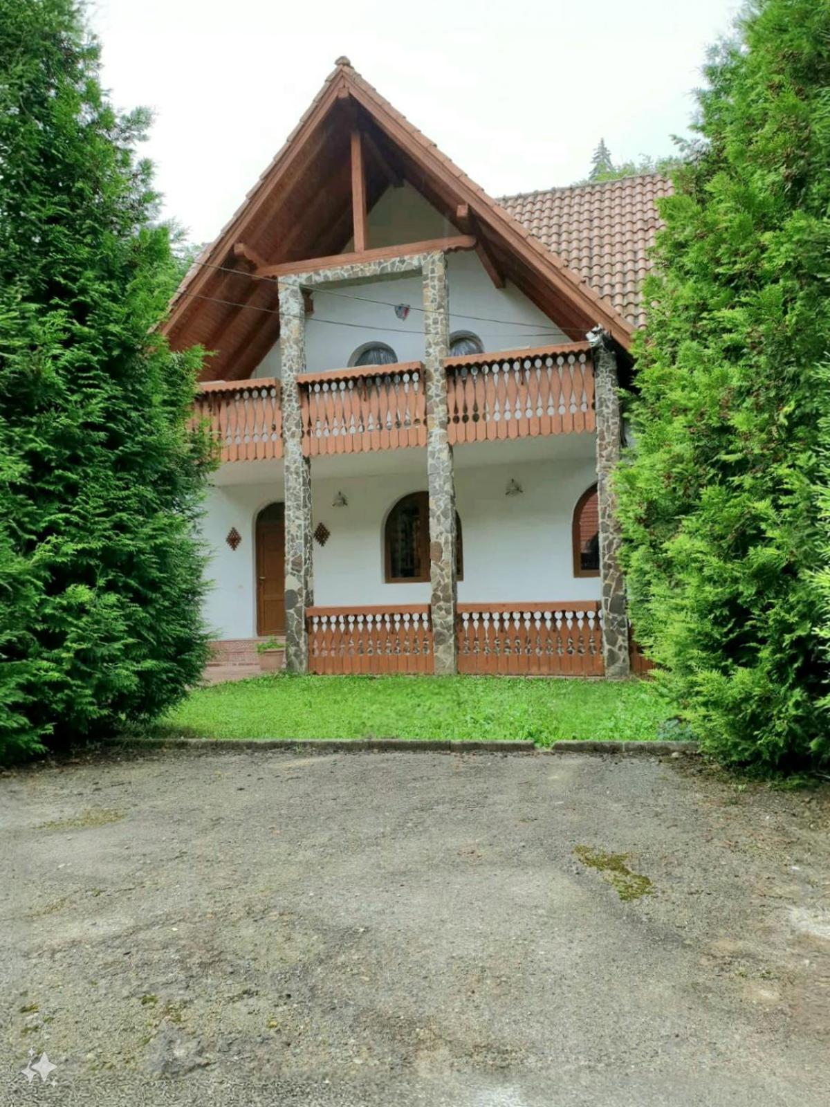 Vila Luca'S Cîrţişoara Exterior foto